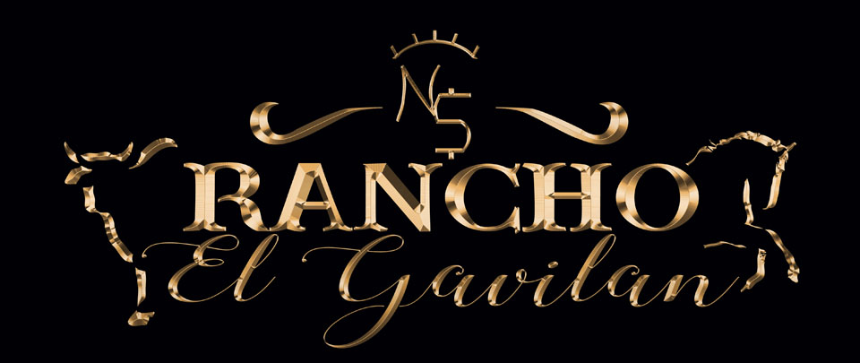 alumawood patio covers decks canvas awings in Moreno Valley Menifee CA 